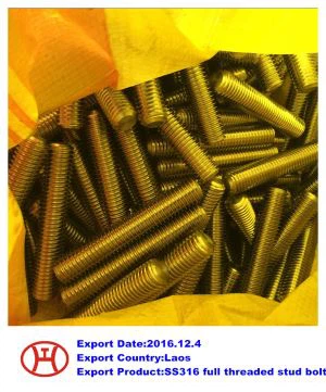 SS 316  pilnos srieginės varžtas