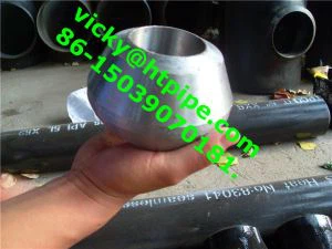 UNS N08811 1.4959 Alkūnė Tee Cross Cap Weldolet Sockolet Threadolet