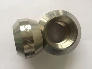 Duplex Nerūdijantis plienas N08 904 904 LA 182  F 904 L Weldolet Threadolet Sockolet