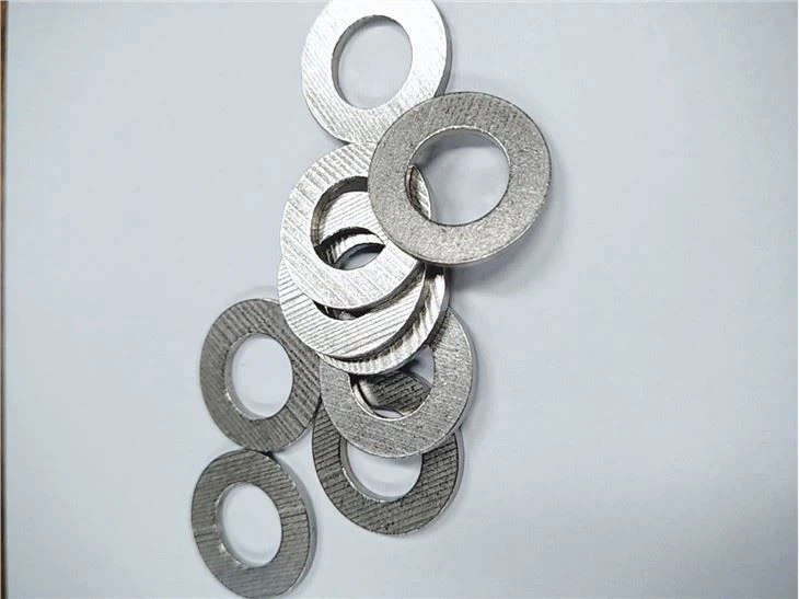 Alloy C-276 DIN2.4819 Hastelloy C276 UNS N10276 Plain Flat Washer As Per DIN125A
